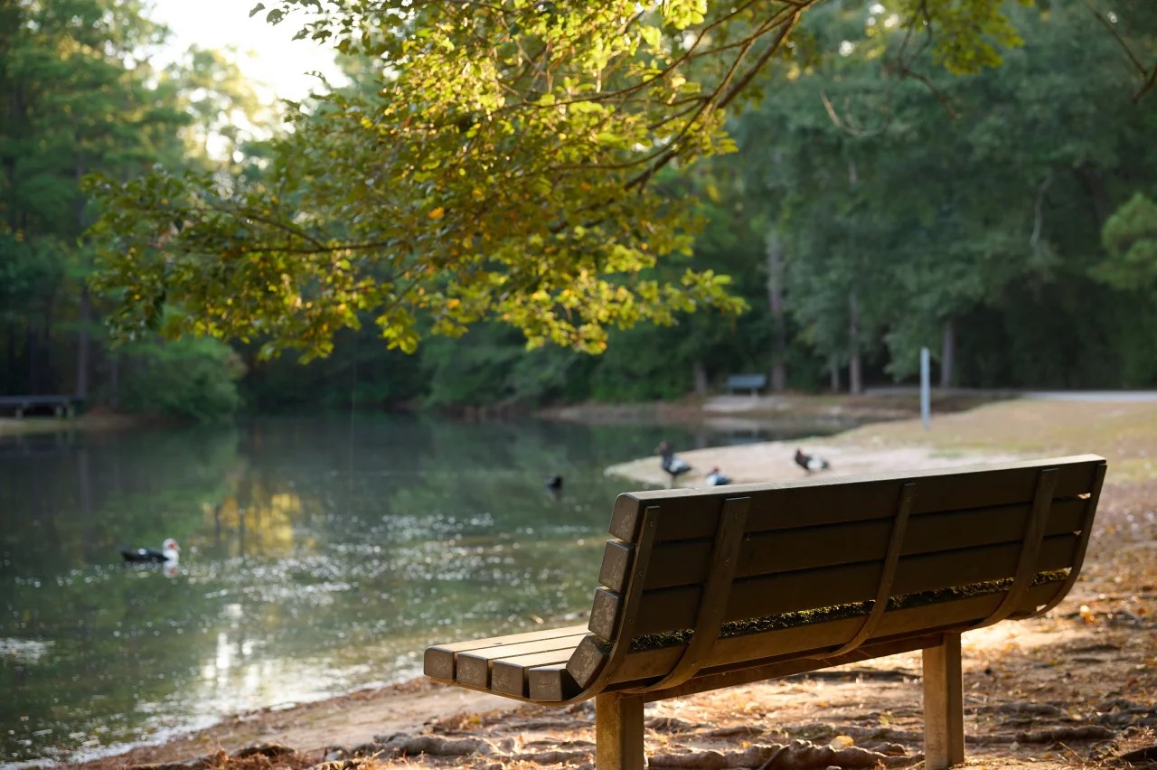 Spring, TX artificial turf projects