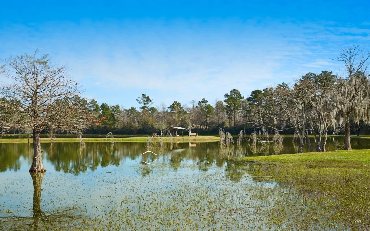 Tomball, TX artificial turf projects
