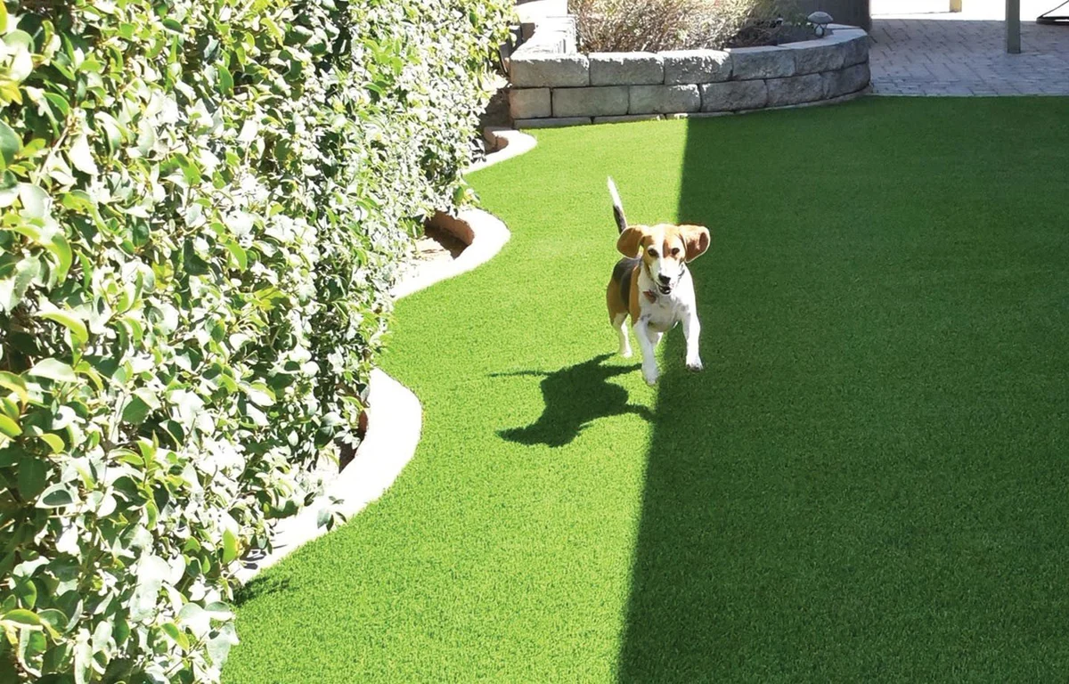 Drainage and Base Preparation in Conroe, TX